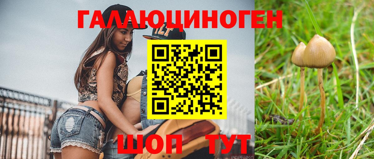 Псилоцибиновые грибы мицелий Среднеуральск